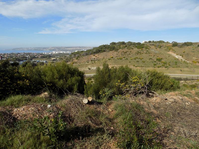 0 Bedroom Property for Sale in Menkenkop Western Cape
